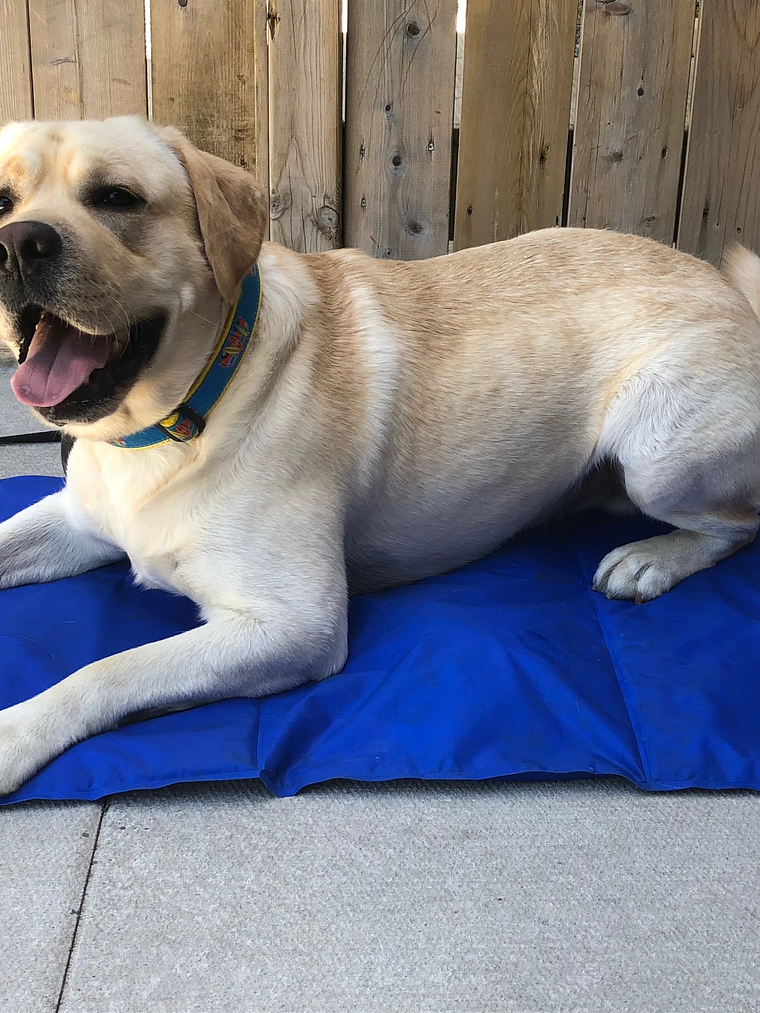 Manta Refrescante extra grande  2