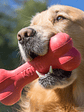 Hueso De Juguete Para Perros Kong Goodie Bone (grande) - Miniatura 2