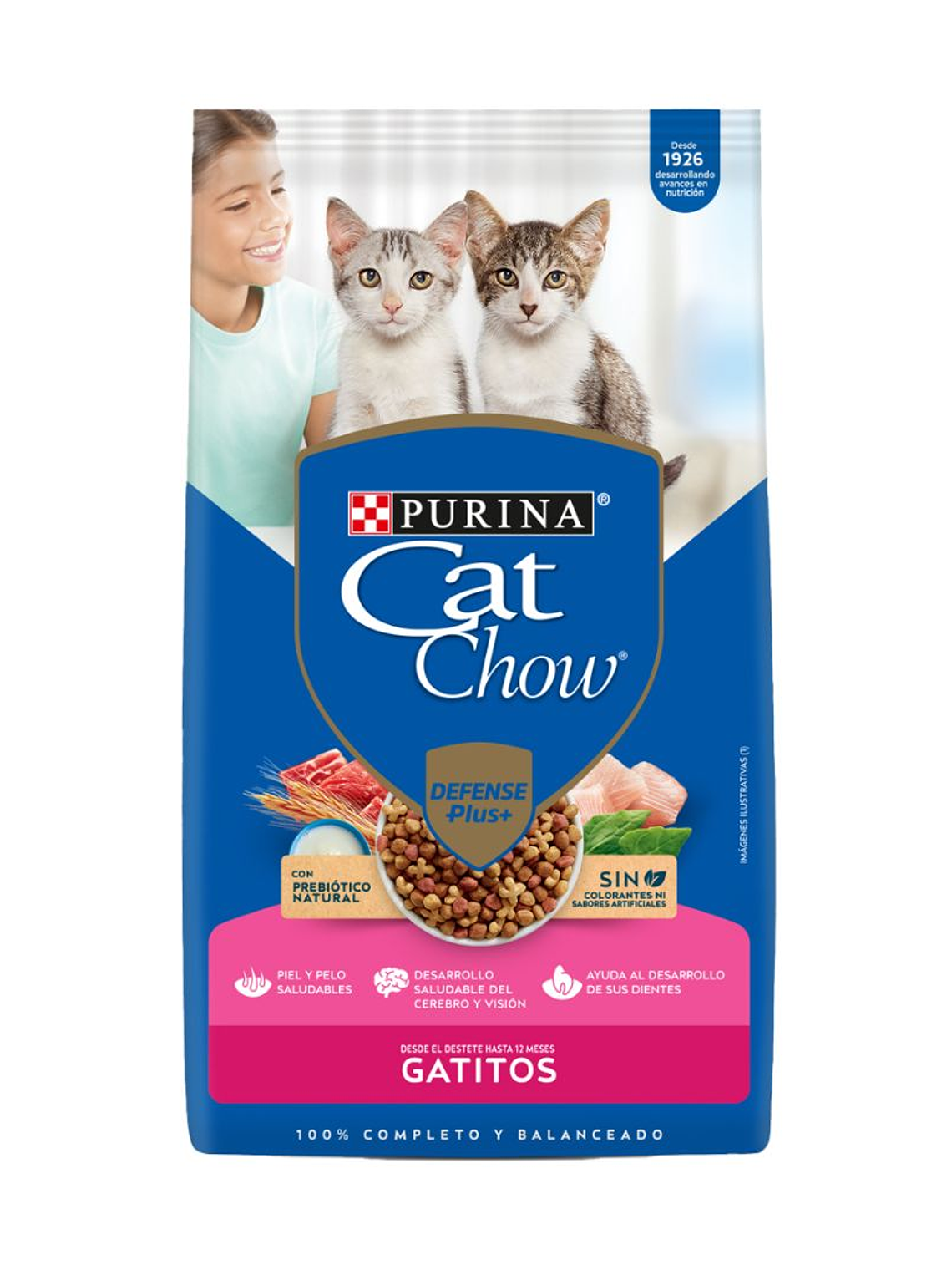 CAT CHOW GATITO 24 KG	 1