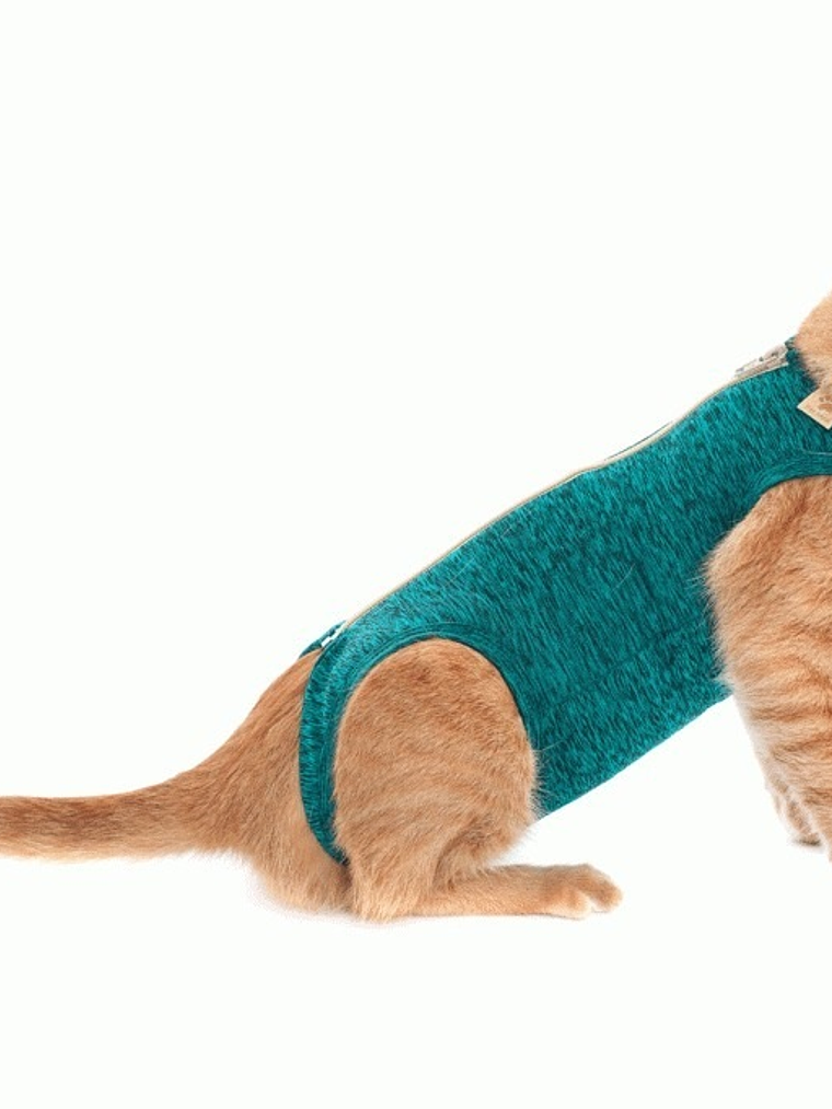 Malla Post-Operatoria Gato Talla 1 verde 2