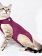 Malla Post-Operatoria Gato Talla 2 - Miniatura 2