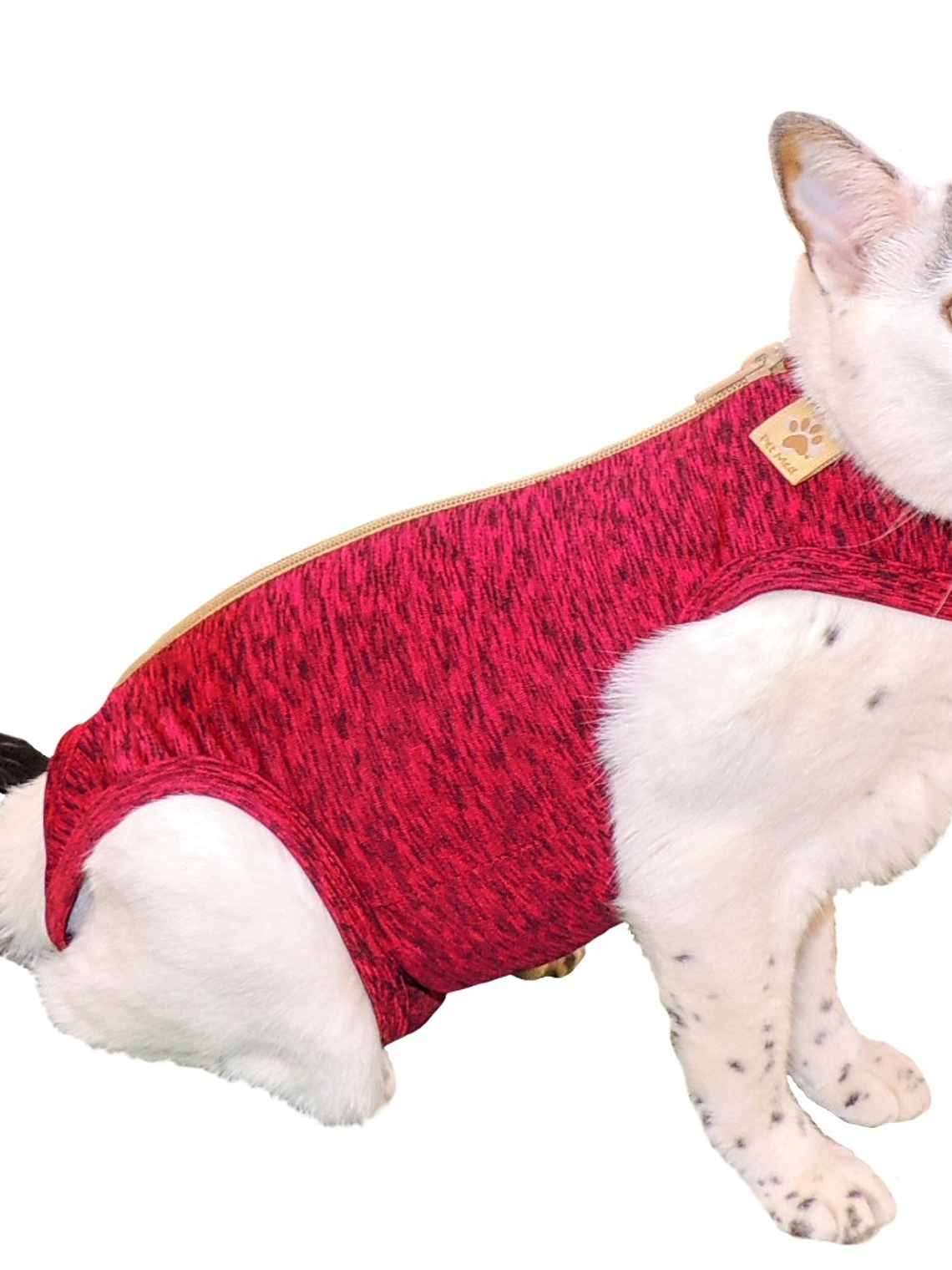 Malla Post-Operatoria Gato Talla 3 2