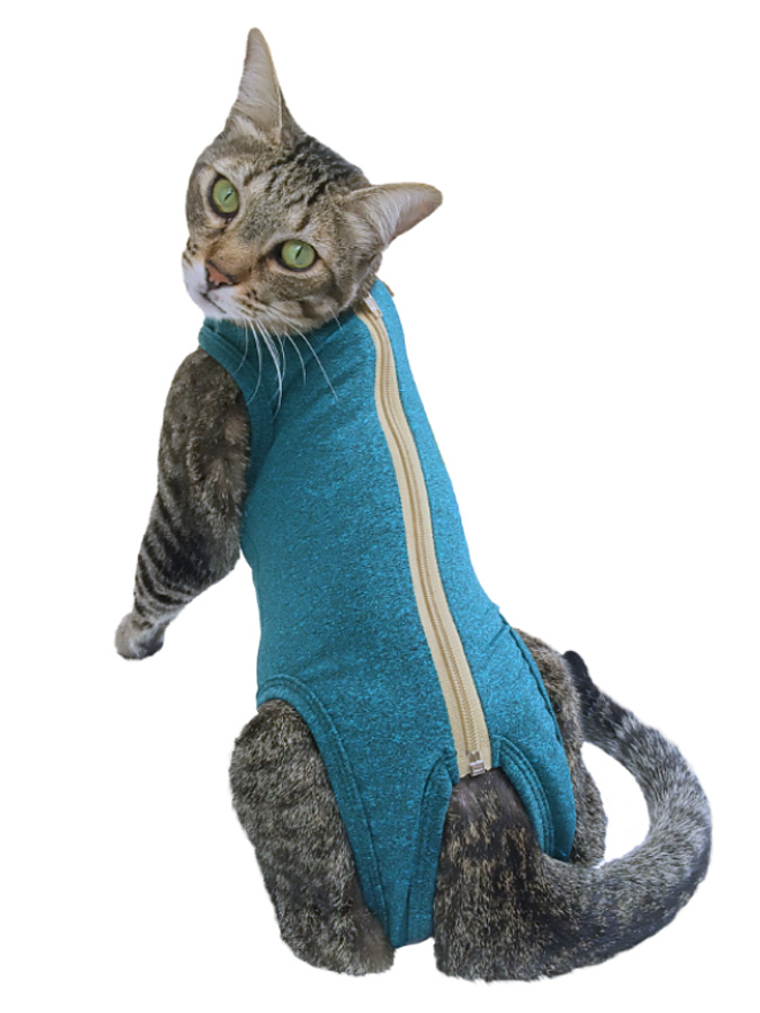 Malla Post-Operatoria Gato Talla 4 1