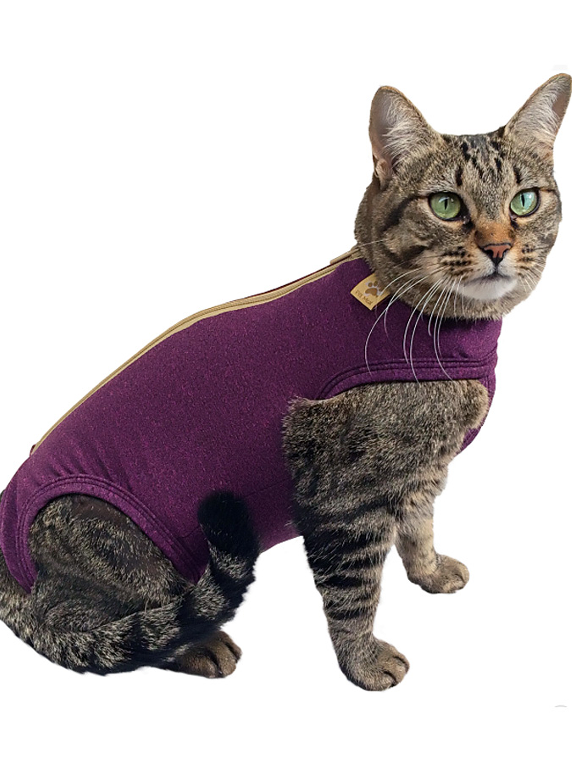 Malla Post-Operatoria Gato Talla 5 1