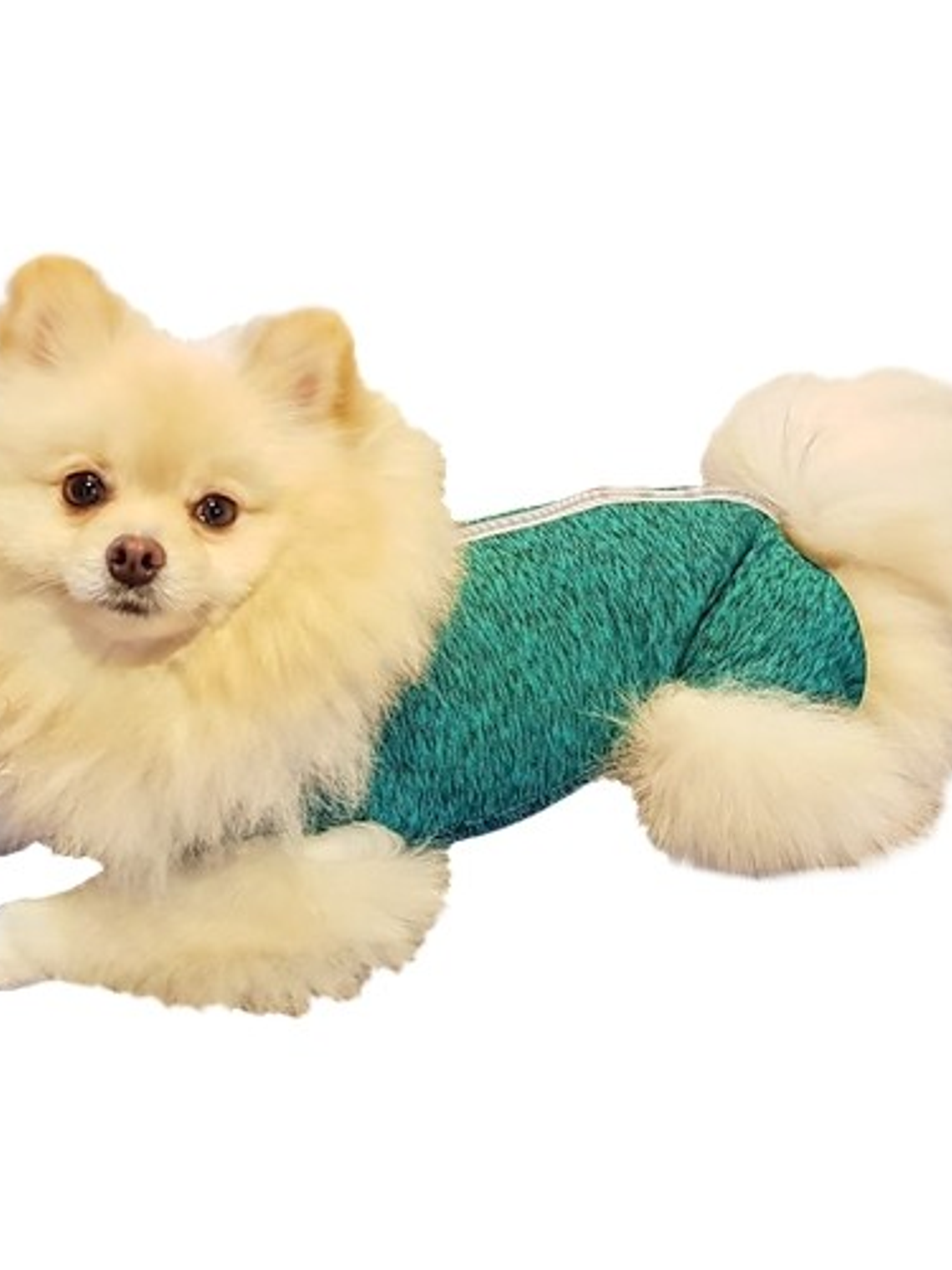 Malla Post-Operatoria castracion Perro Talla 1 1