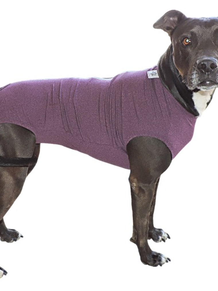 Malla Post-Operatoria Perro Talla 10 1