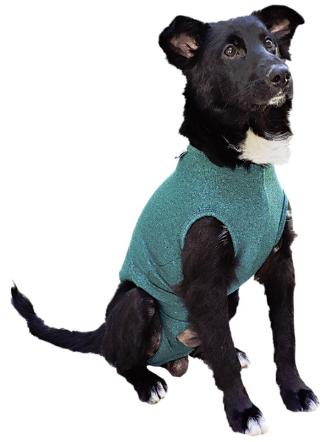 Malla Post-Operatoria Perro Talla 11 1