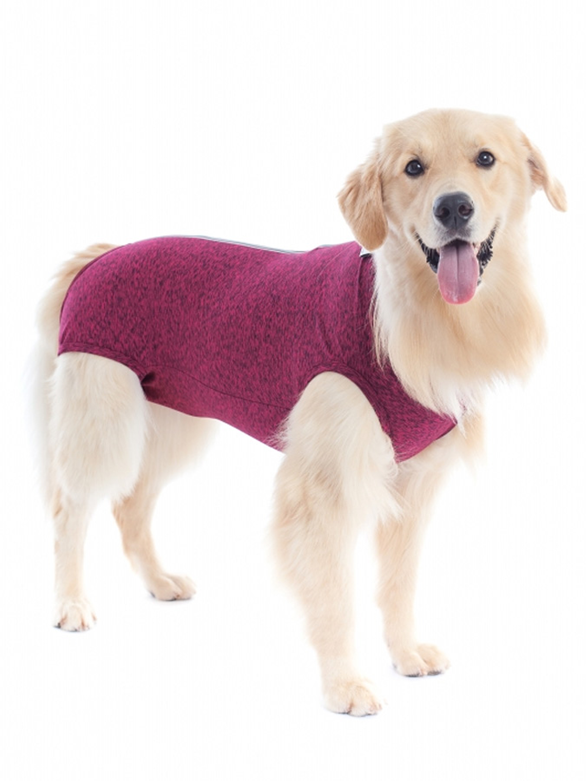 Malla Post-Operatoria Perro Talla 12 1