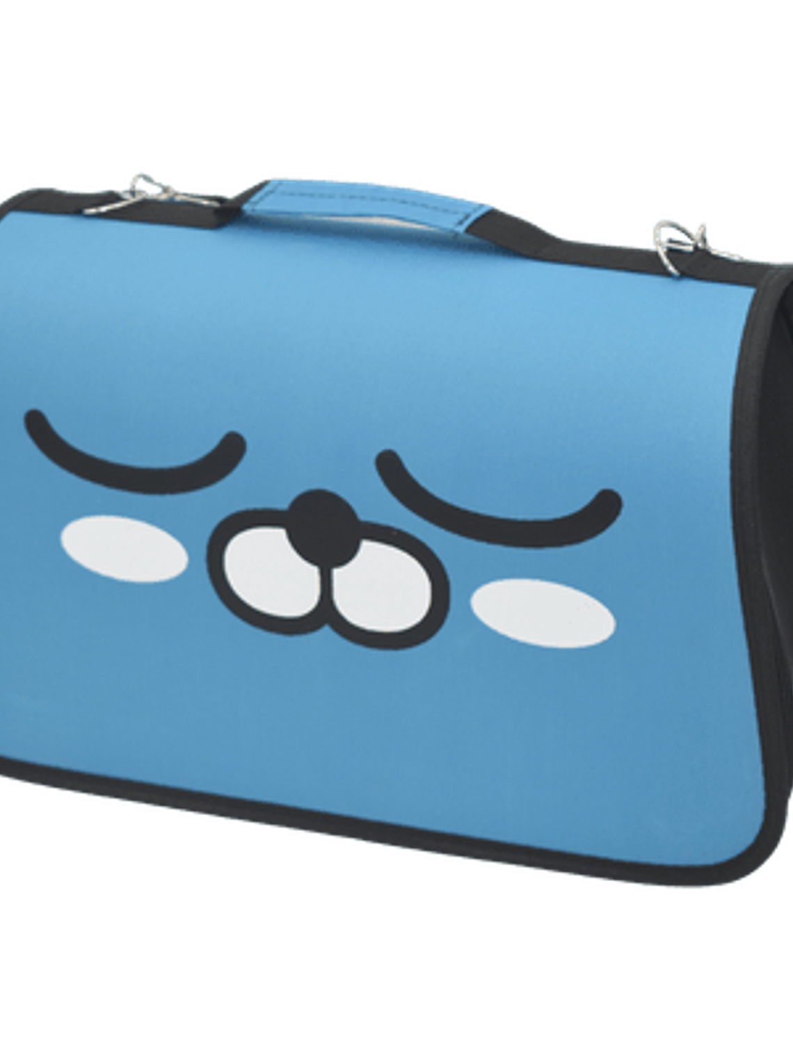 BOLSO DE TRANSPORTE PEQUEÑO L 2