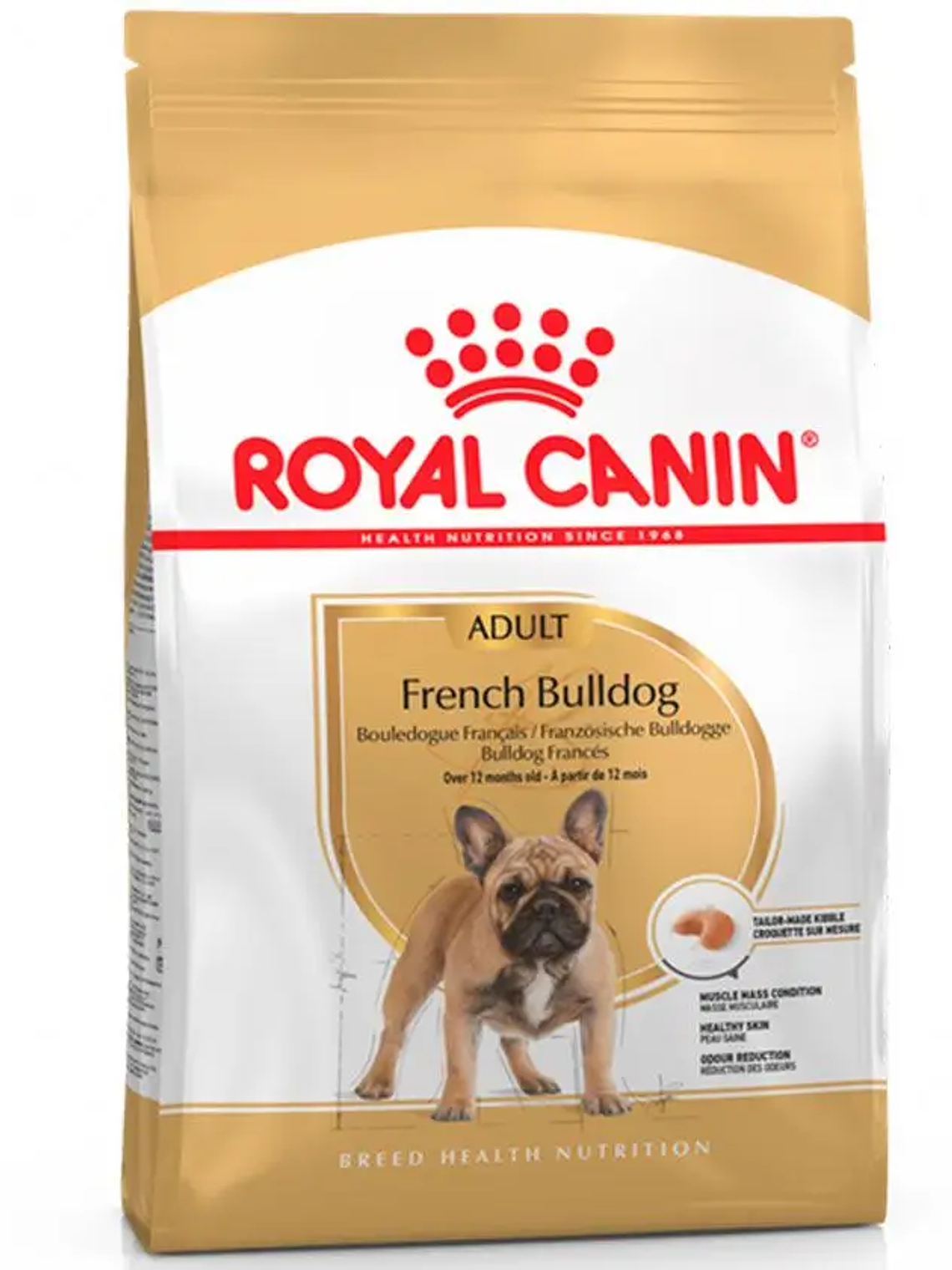 Royal Canin Bulldog Frances Adulto 1