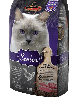 Leonardo adulto senior