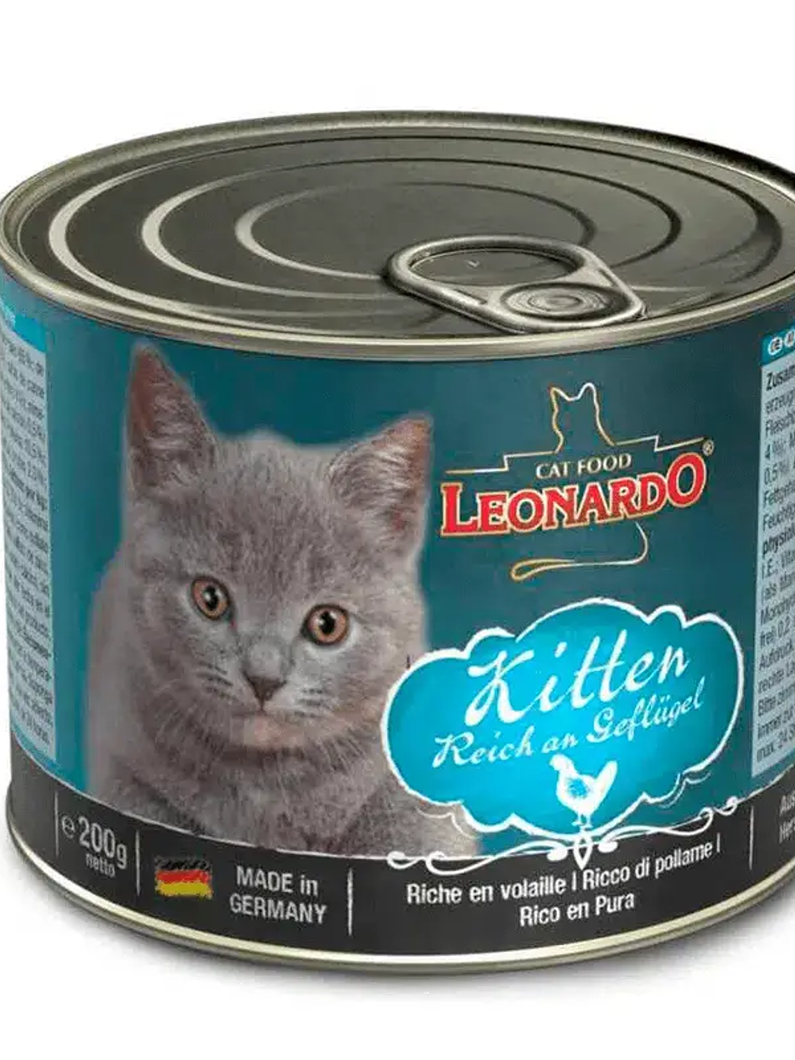 Leonardo lata kitten quality selecction  1