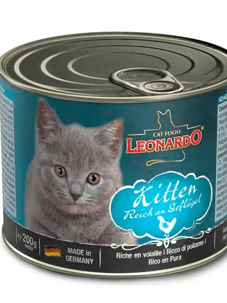 Leonardo lata kitten quality selecction  1