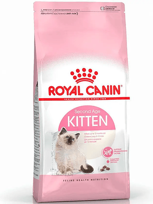 Royal Canin Gato Kitten