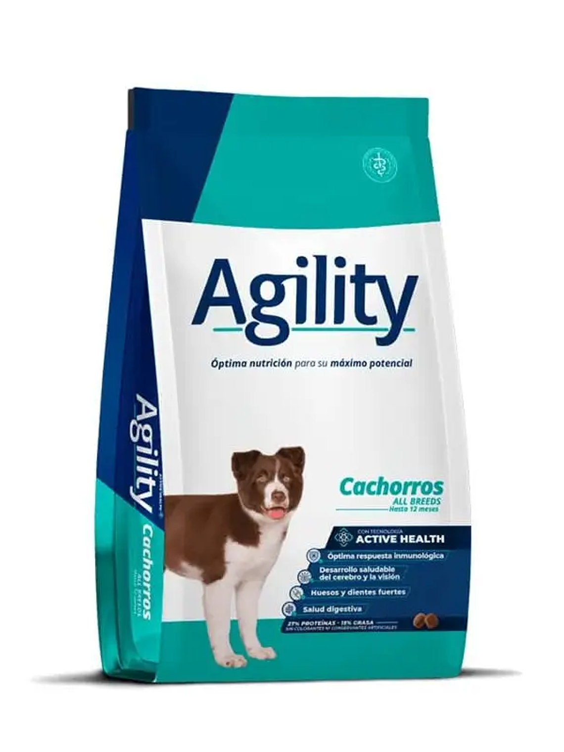 Agility Cachorro 1
