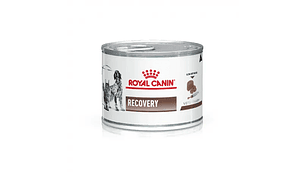 Lata Royal Canin Recovery Para Perro Y Gato 145GR