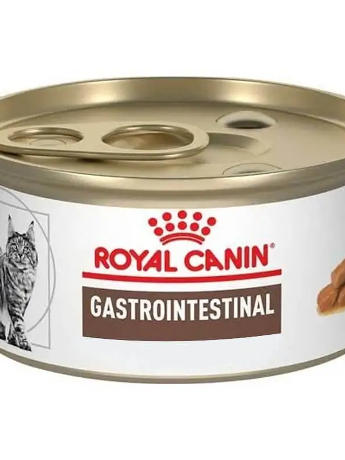 Lata Royal Canin GASTRO INTESTINAL para gato 145g   1