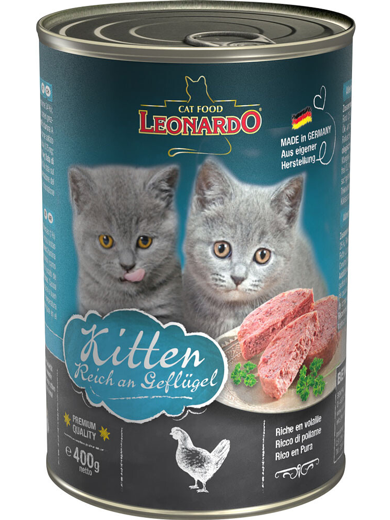 Leonardo lata kitten quality selecction  2