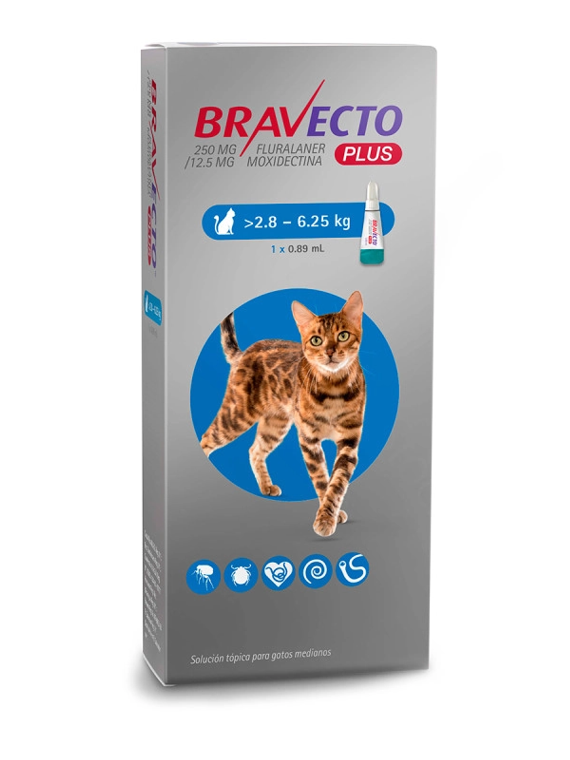 Bravecto Plus para gato 2.8 a 6.25 kg 1