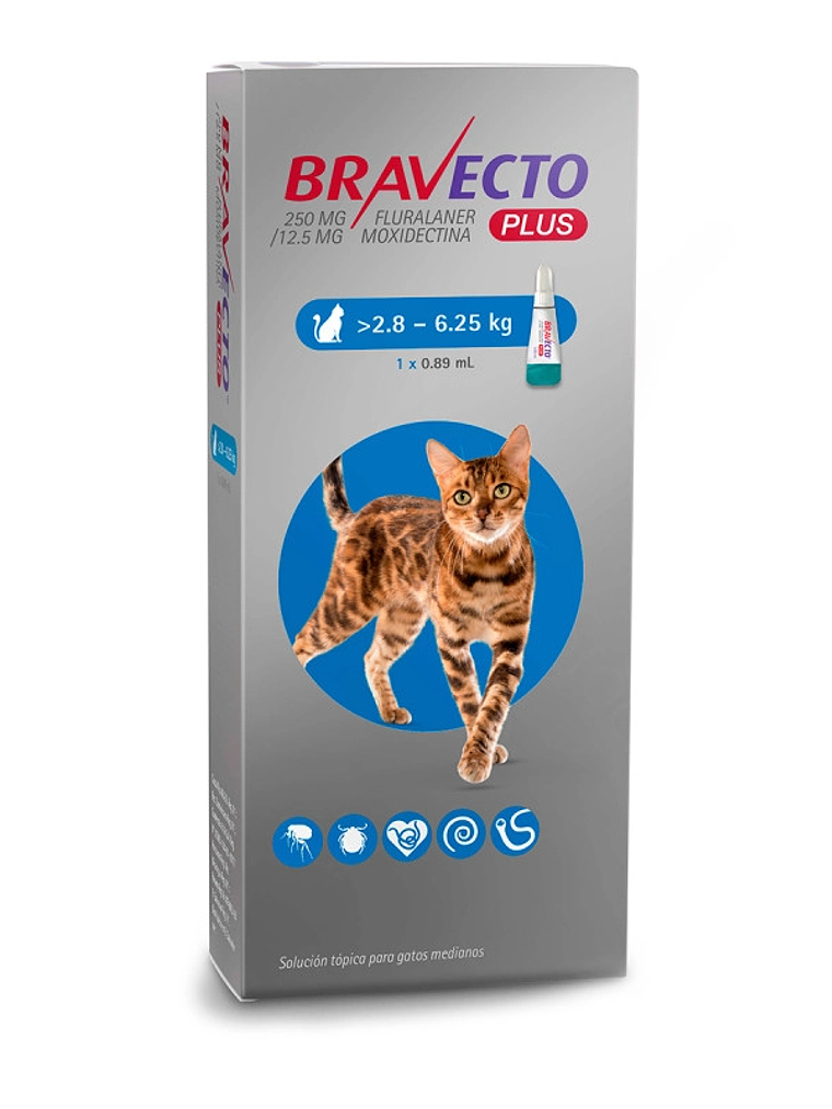 Bravecto Plus para gato 2.8 a 6.25 kg 1