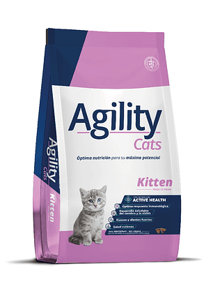Agility Cats Kitten