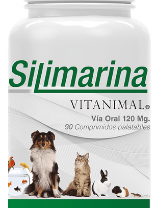 Suplemento Silimarina Vitanimal 90 Comprimidos