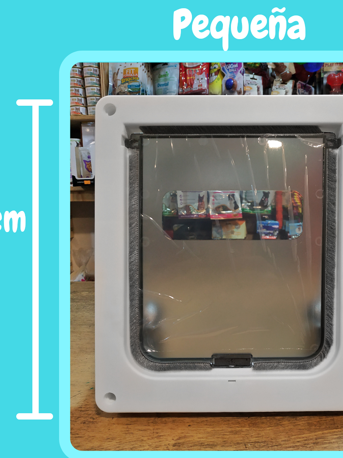 Puerta Abatible Pequeña 4