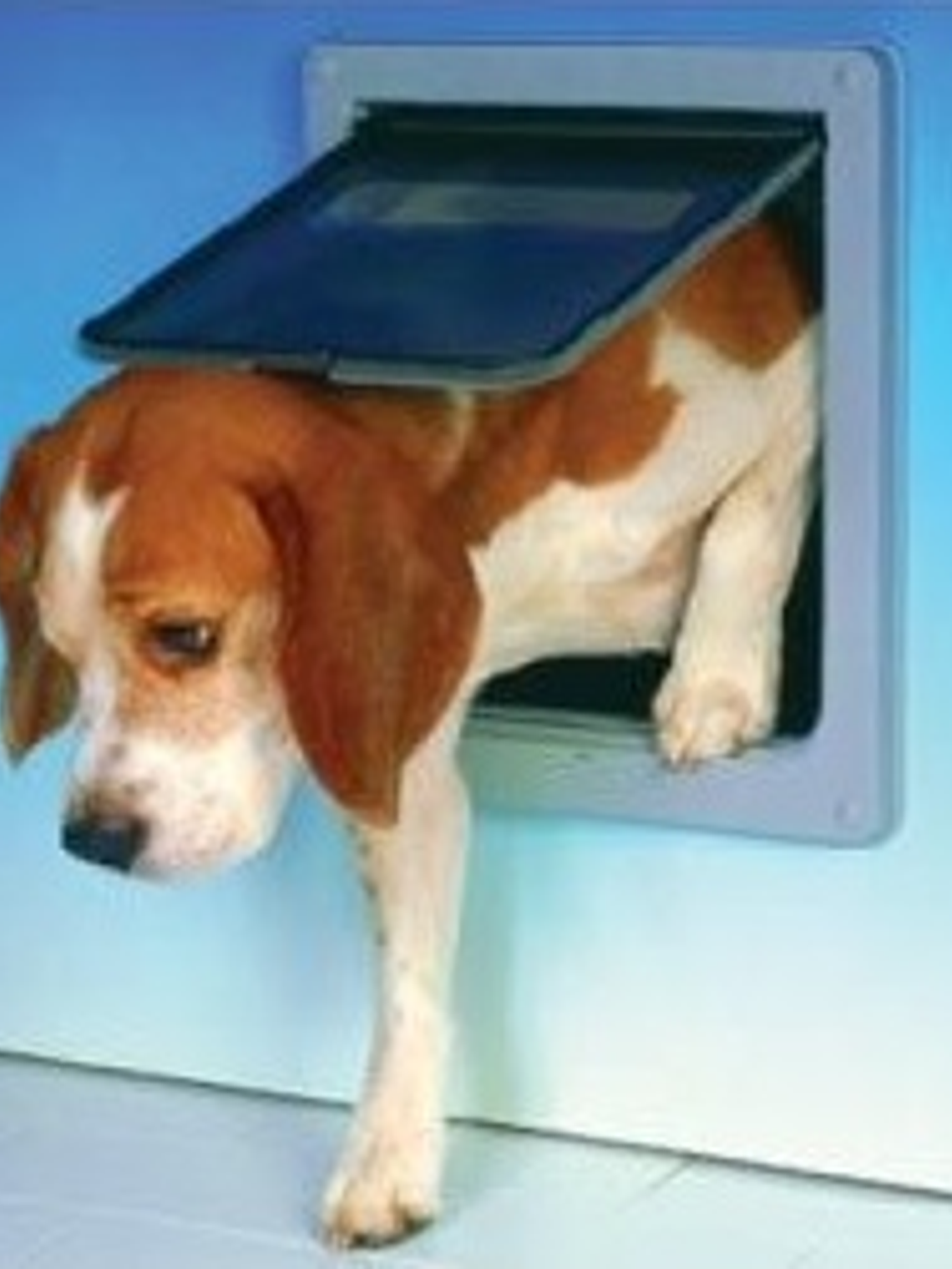 Puerta Abatible Mediana 1