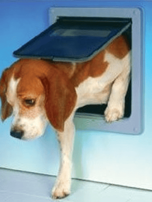 Puerta Abatible Mediana