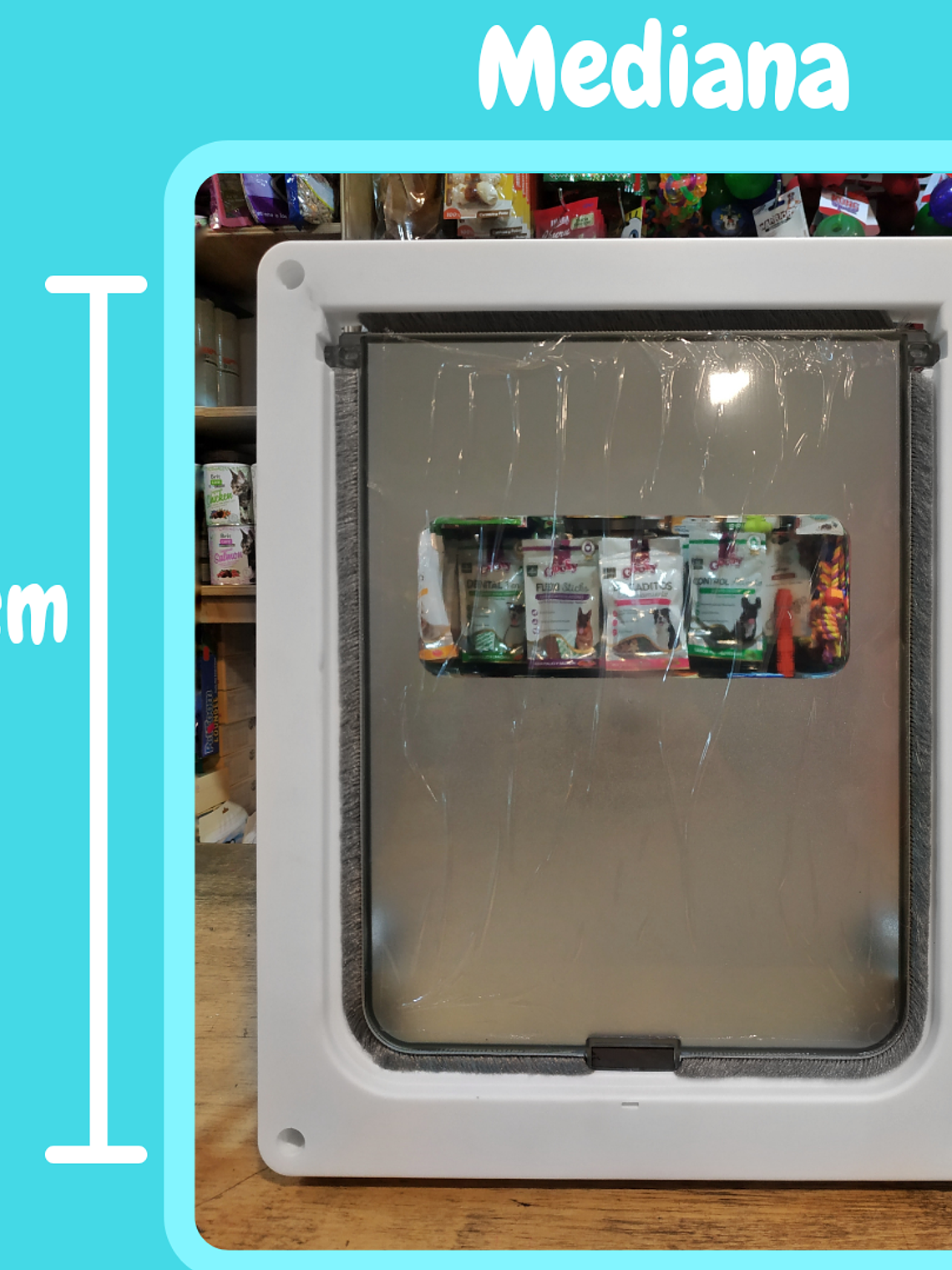 Puerta Abatible Mediana 2