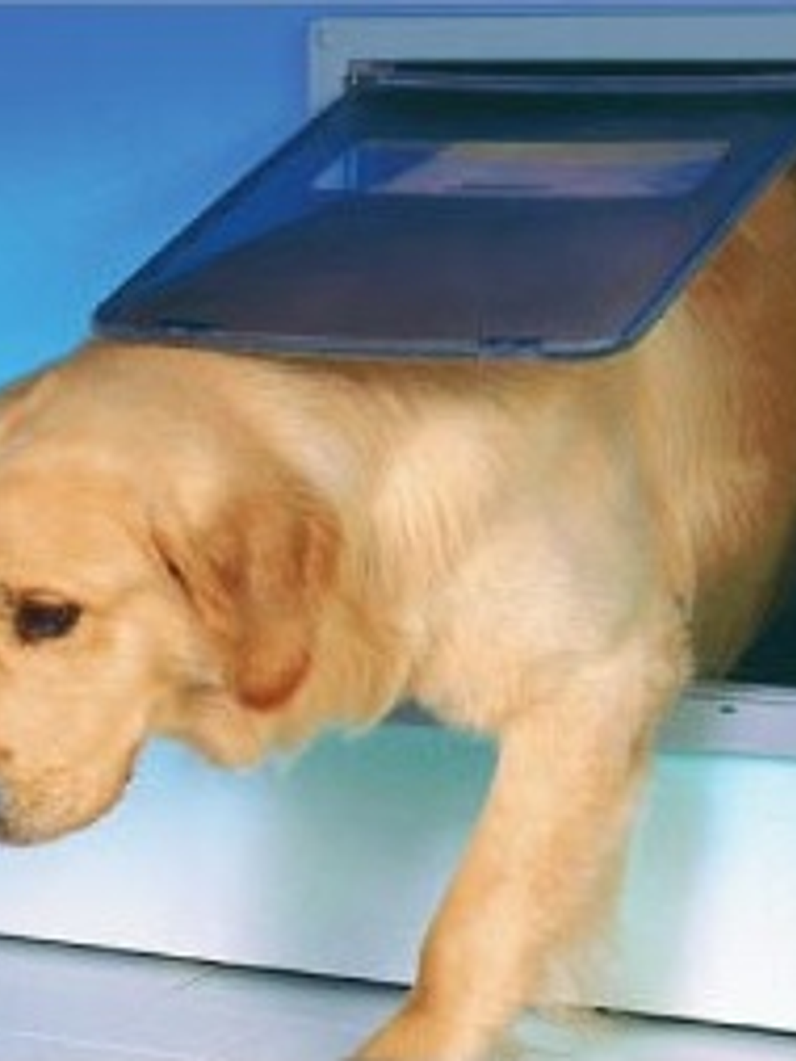 Puerta Abatible Grande 1