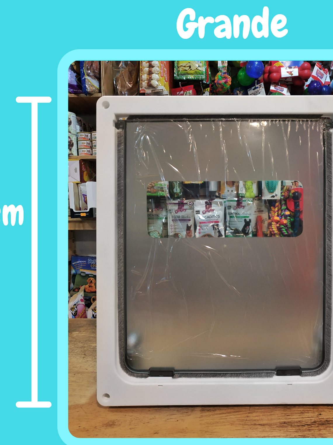 Puerta Abatible Grande 4