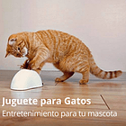 Gigwi Juguete Interactivo Feather Hider 5