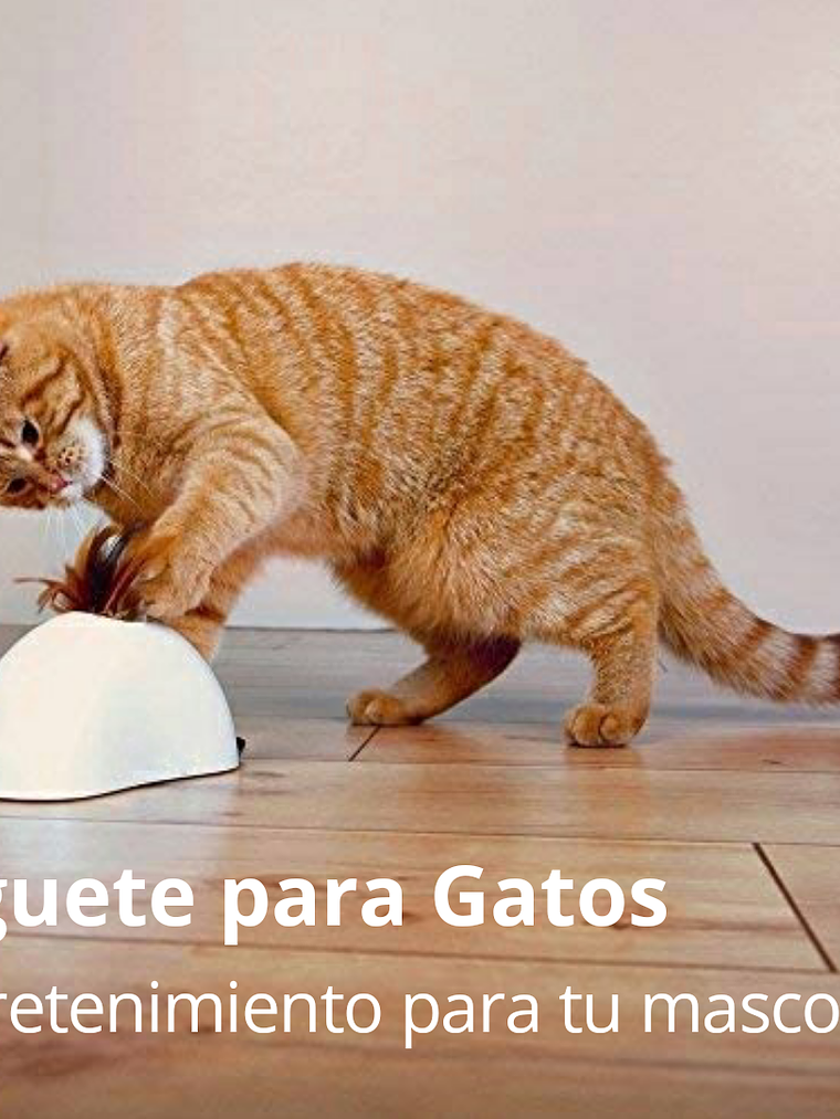 Gigwi Juguete Interactivo Feather Hider 5