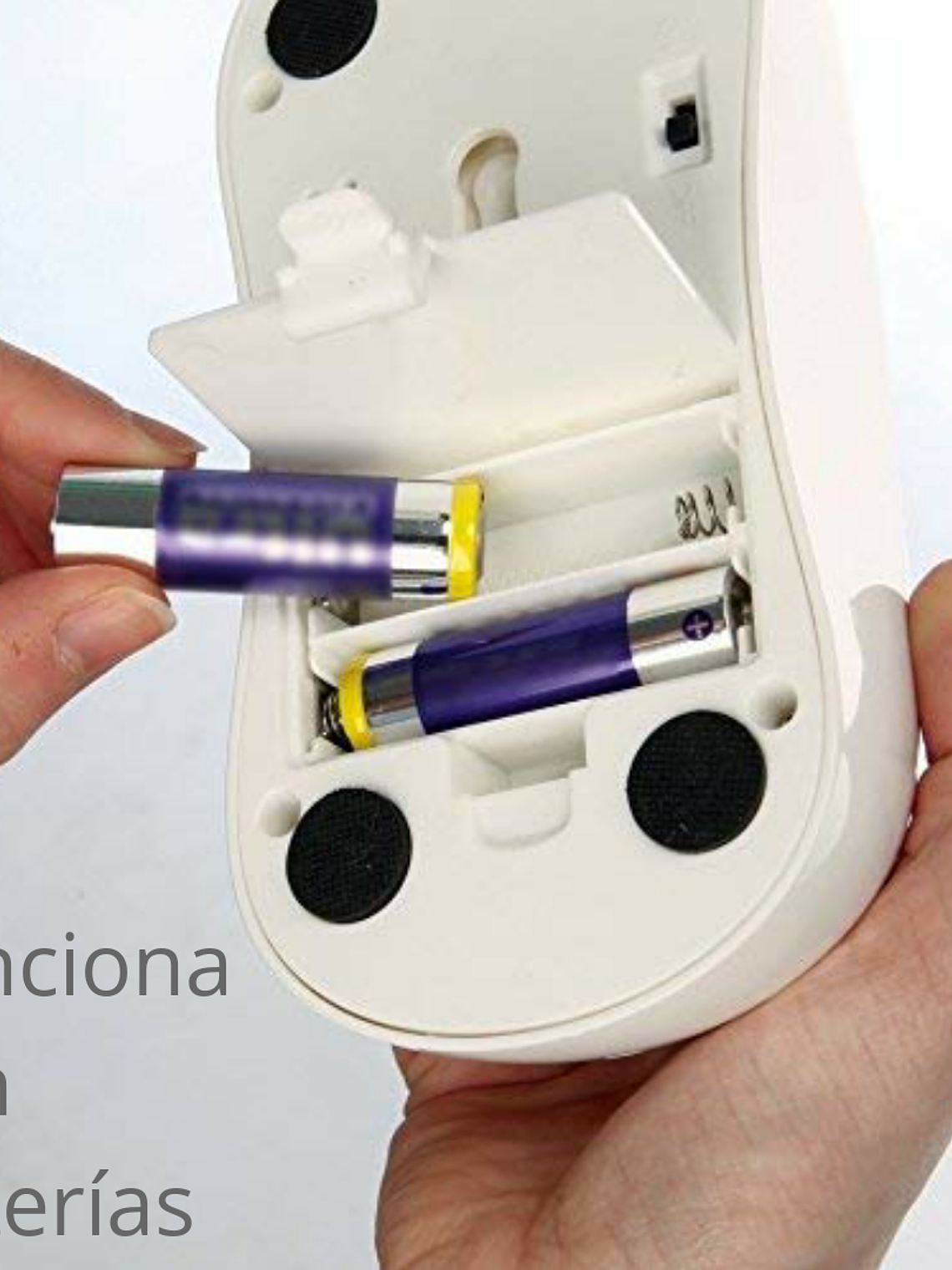 Gigwi Juguete Interactivo Feather Hider 6