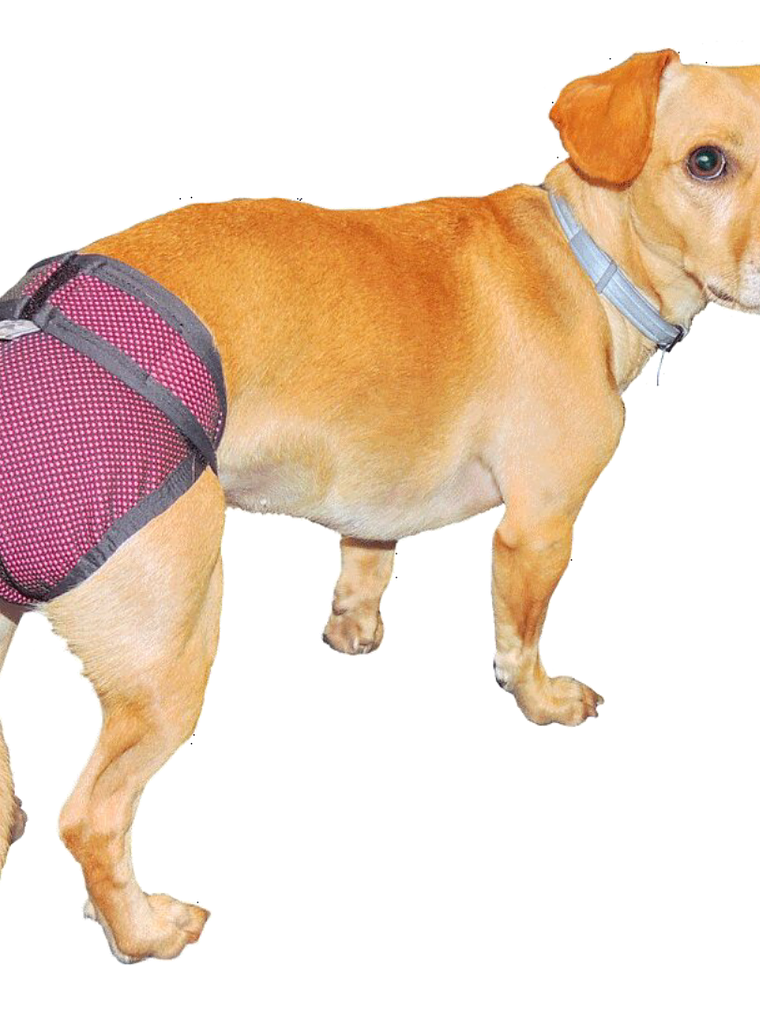 Calzon de Celo Talla 3 1