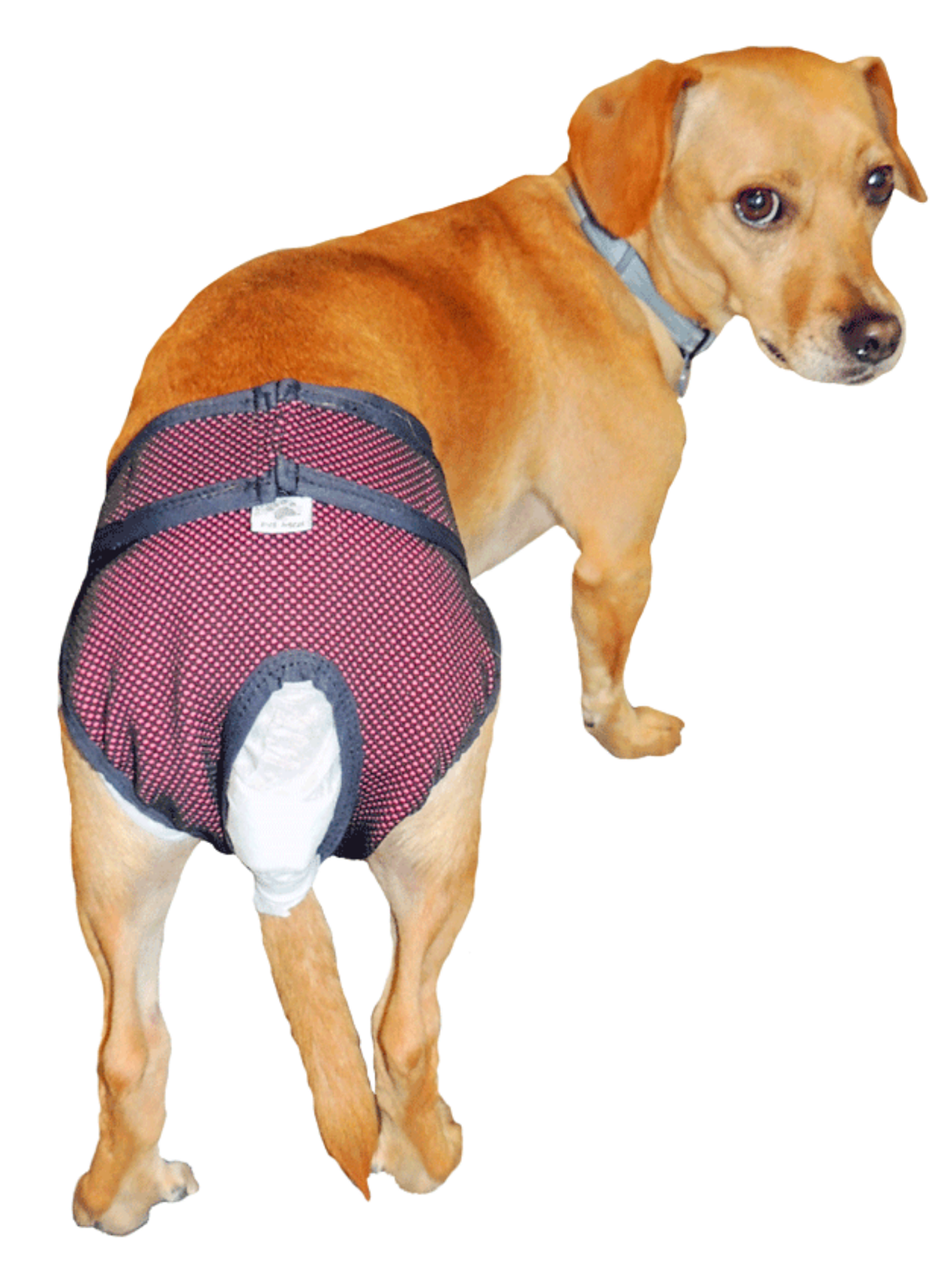 Calzon de Celo Talla 7 1