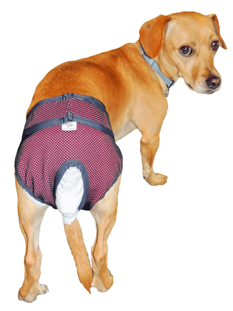 Calzon de Celo Talla 7 1