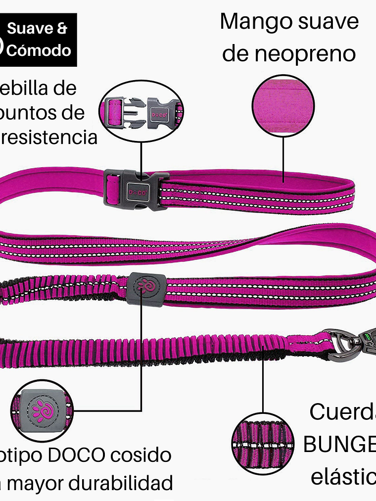 DOCO Bungee Correa Elástica Para Perros  2