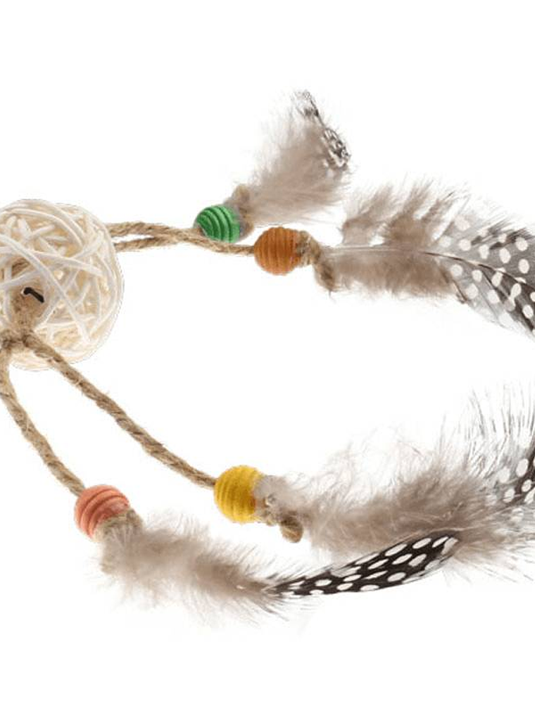 Gigwi Juguete Catch & Scratch 4