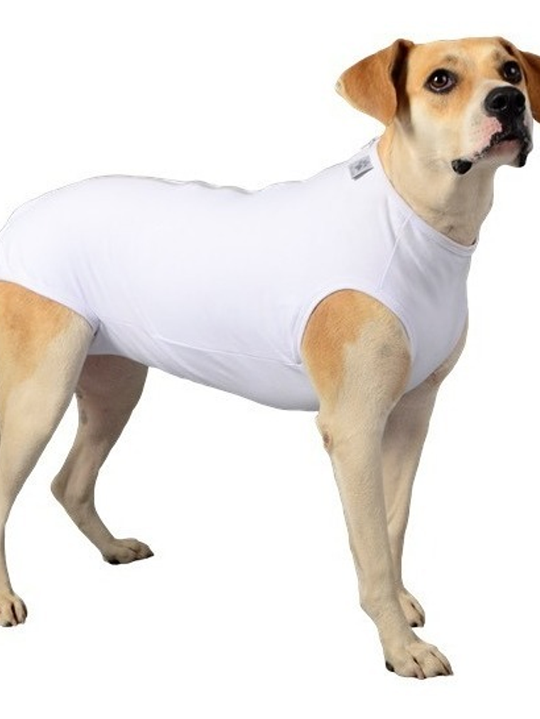 Malla Post-Operatoria castracion Perro Talla 8 1