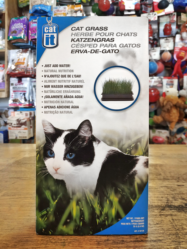 Césped para Gatos Cat it 1