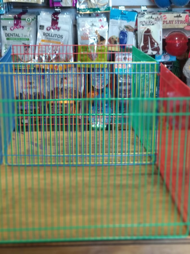 Corral de erizo (#066) 2