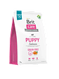 Brit Care Puppy Salmon Grain Free | Alimento Premium para Cachorros - Miniatura 2