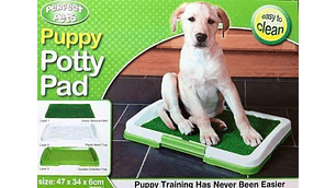 Baño Ecológico para perros y mascotas. Puppy Potty Pad/ pequeños