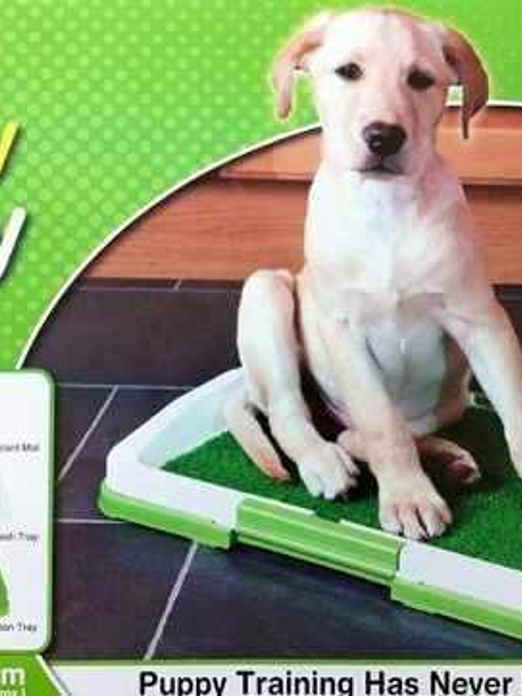 Baño Ecológico para perros y mascotas. Puppy Potty Pad/ pequeños 1
