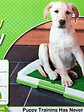 Baño Ecológico para perros y mascotas. Puppy Potty Pad/ pequeños - Miniatura 1