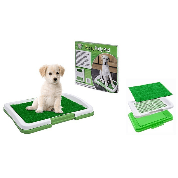 Baño Ecológico para perros y mascotas. Puppy Potty Pad/ pequeños 3