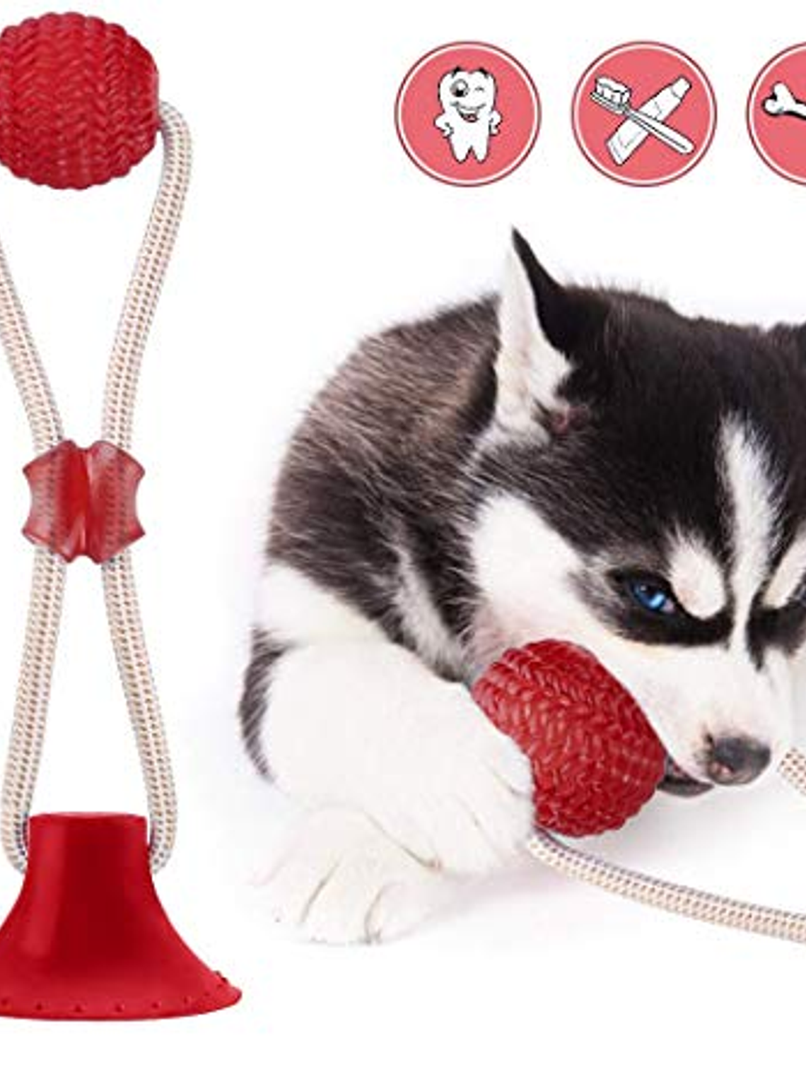 Juguetes para Perros, Ventosa Perro, Juguete Multinacional 3