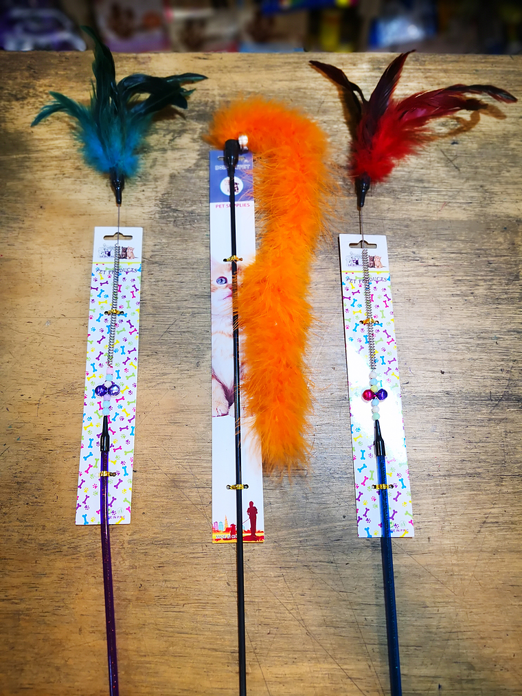 Plumeros para gato  1